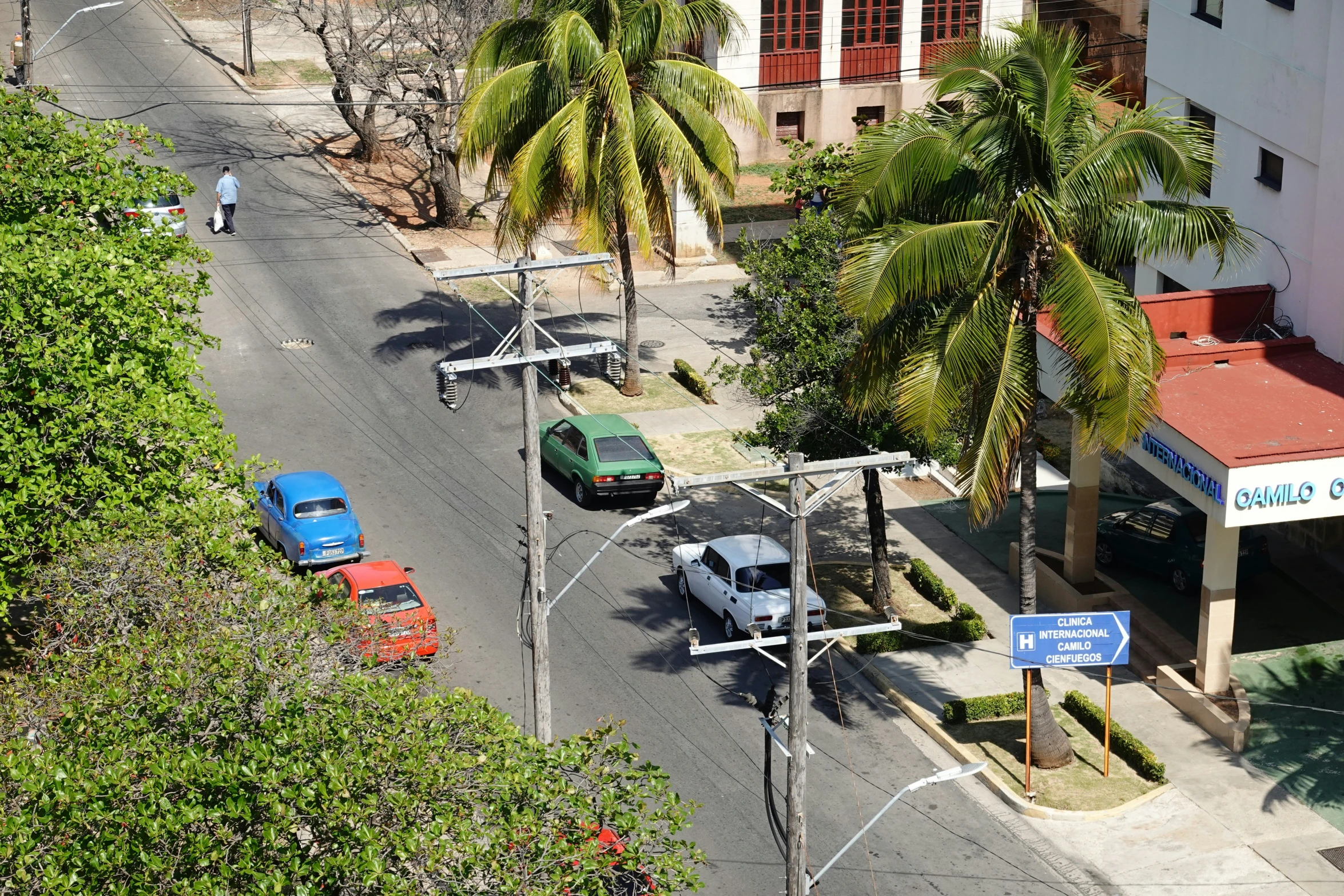 a street with buildings, vehicles, and some palm trees