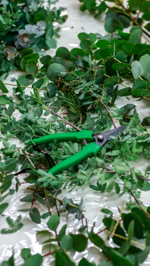 a pair of green scissors are lying on some plants