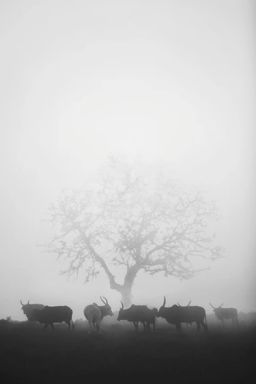 a man standing next to a tree with animals