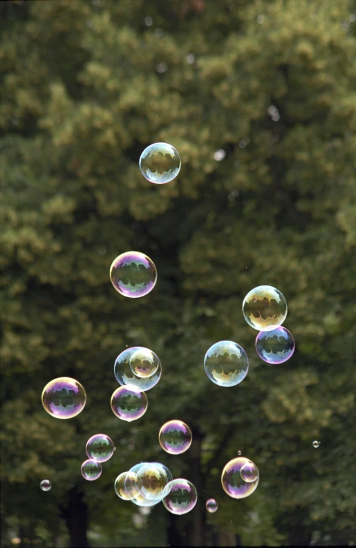 soap bubbles floating into the air on the ground