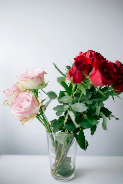 two flowers in vases on a table