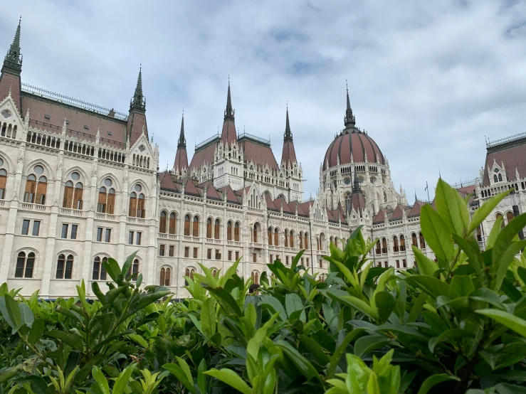 the building is built and it has green leaves