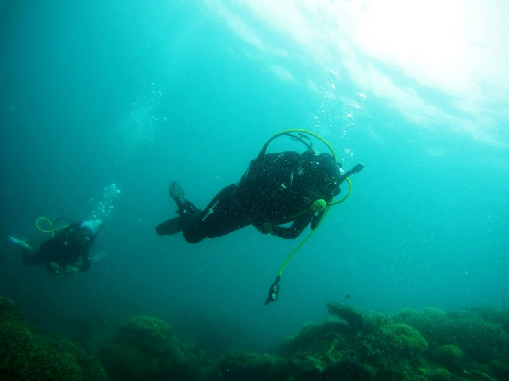 two people are swimming on the ocean floor