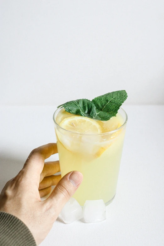 a hand holding a glass with green leaves