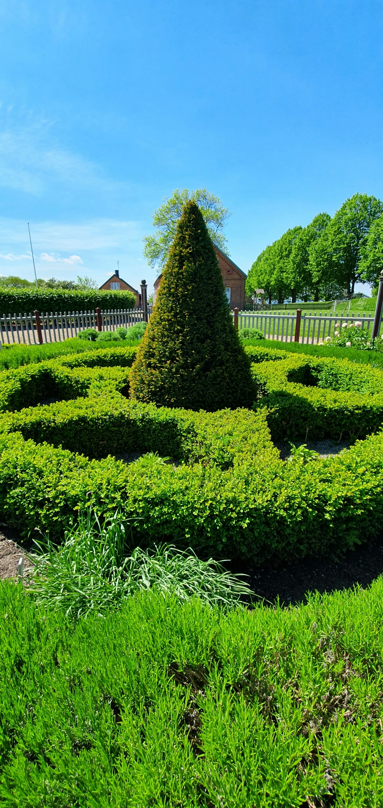 a topiary with a tree stands on an outdoor lawn