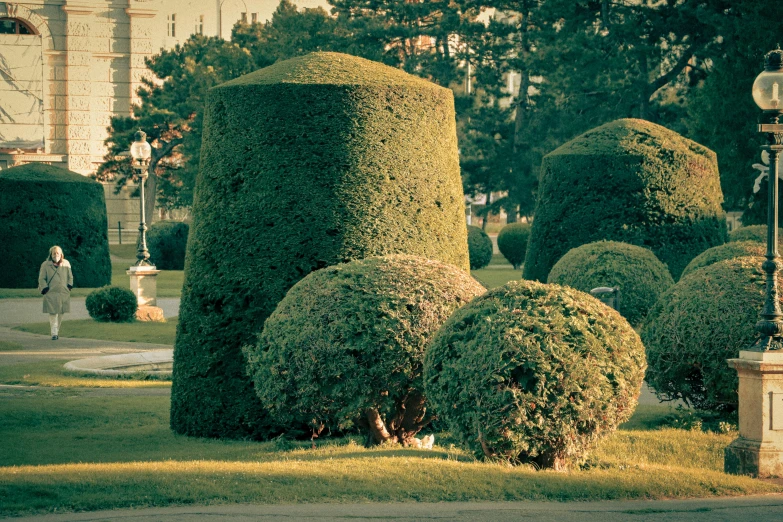 some very tall bushes by the side of a sidewalk