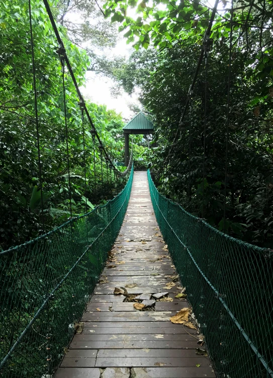 a bridge through the woods that leads to a structure