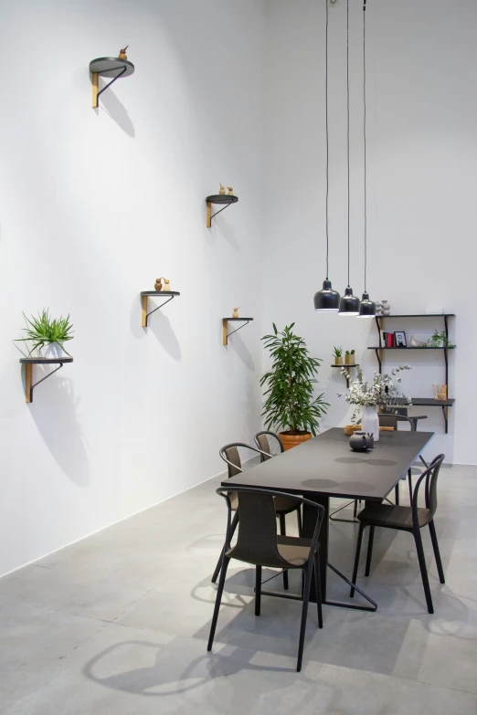 two potted plants and shelves hang on the walls