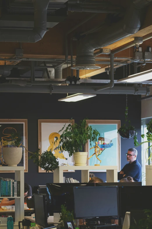 a man sitting at his desk on the computer and with three plant pos on it