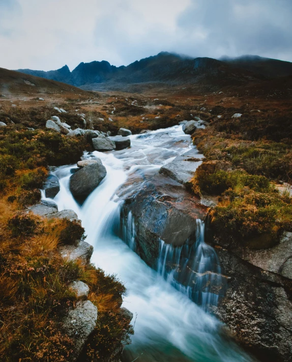 a small stream that runs through the middle of a grass field