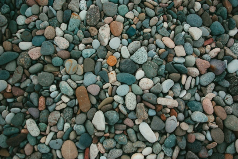 closeup of small gravel and rocks with a single leaf on it