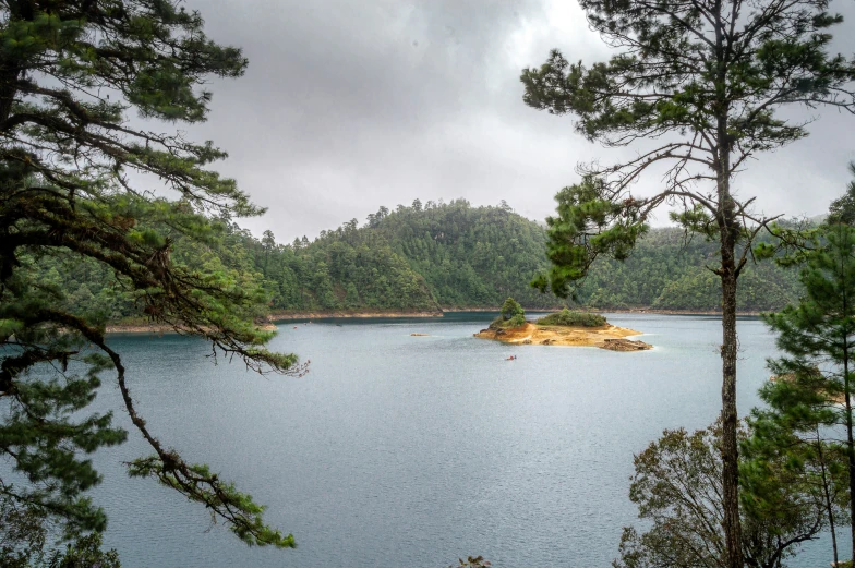 this is a lake surrounded by pines