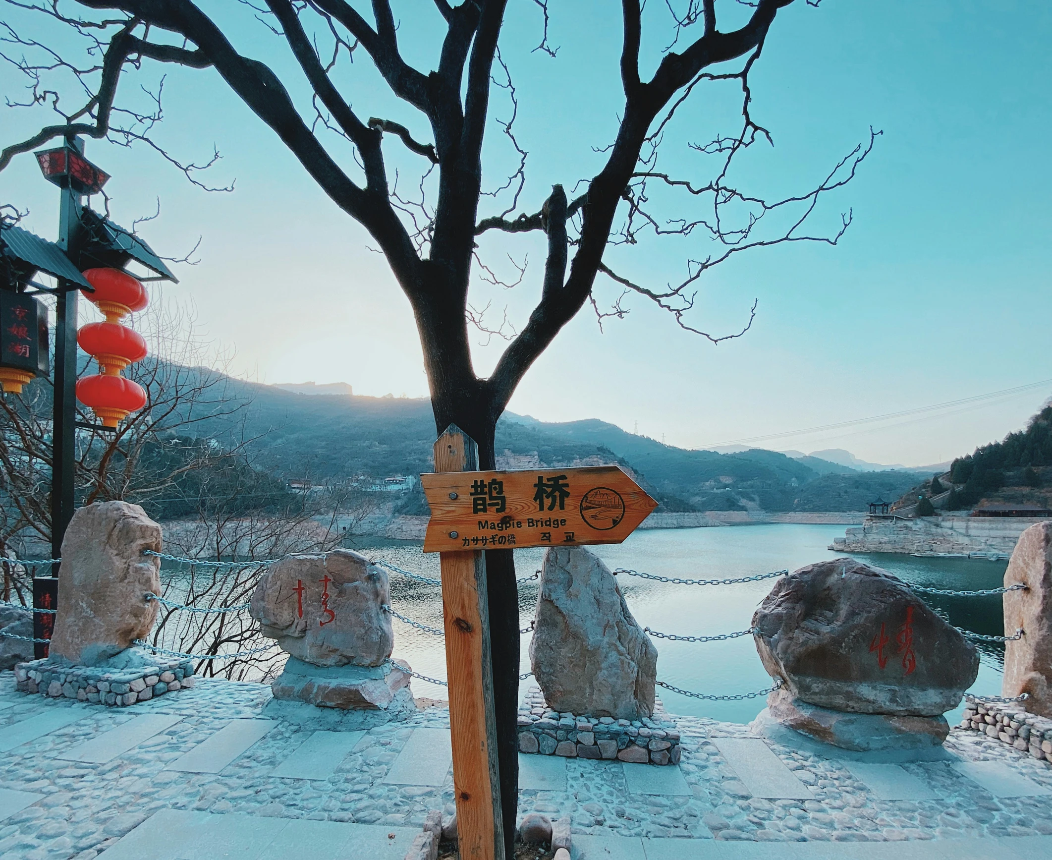 a wooden sign on a stone covered area near trees