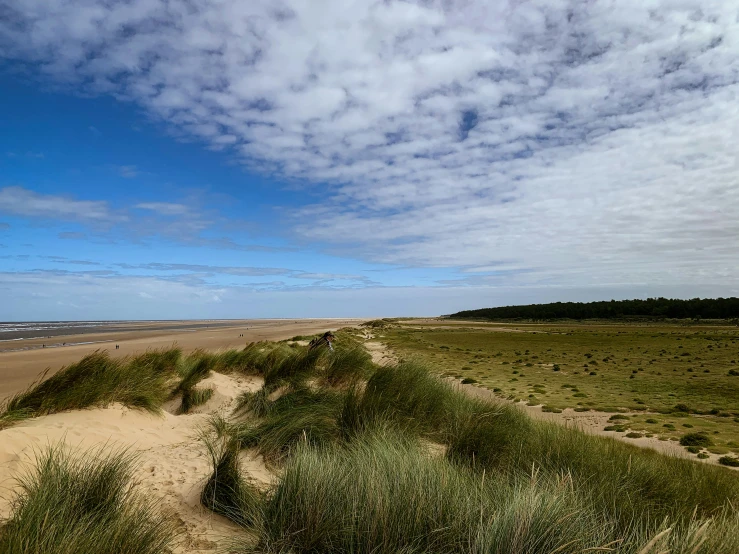 a view of the ocean near a sandy shore