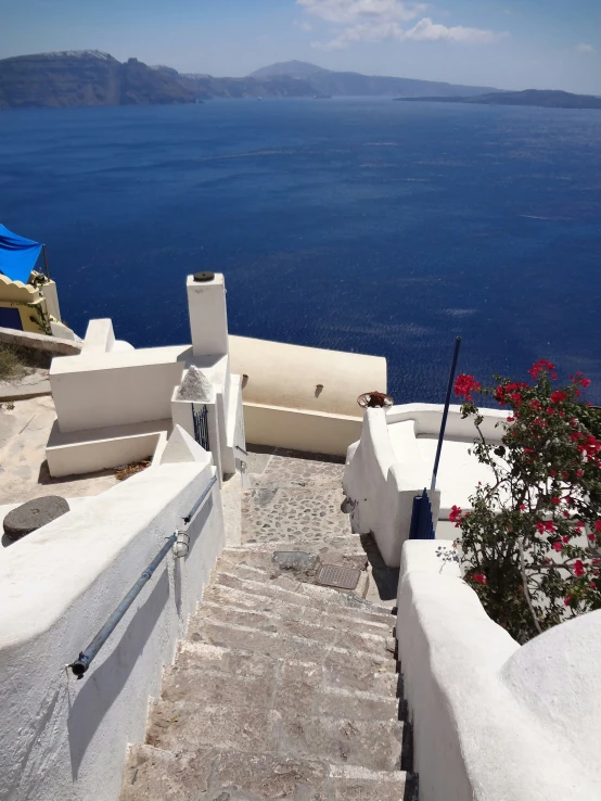 a stairway with red flowers and steps leading to the ocean