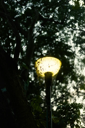 a street lamp glowing at night in the evening