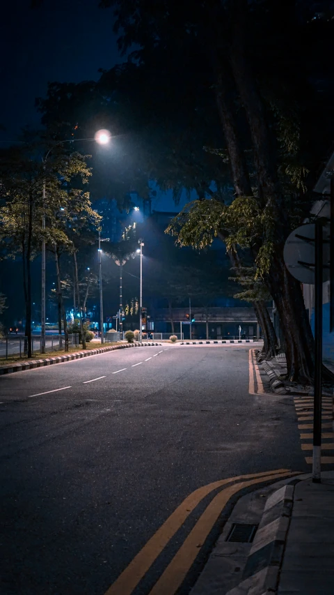 a street with trees and street lights in the night