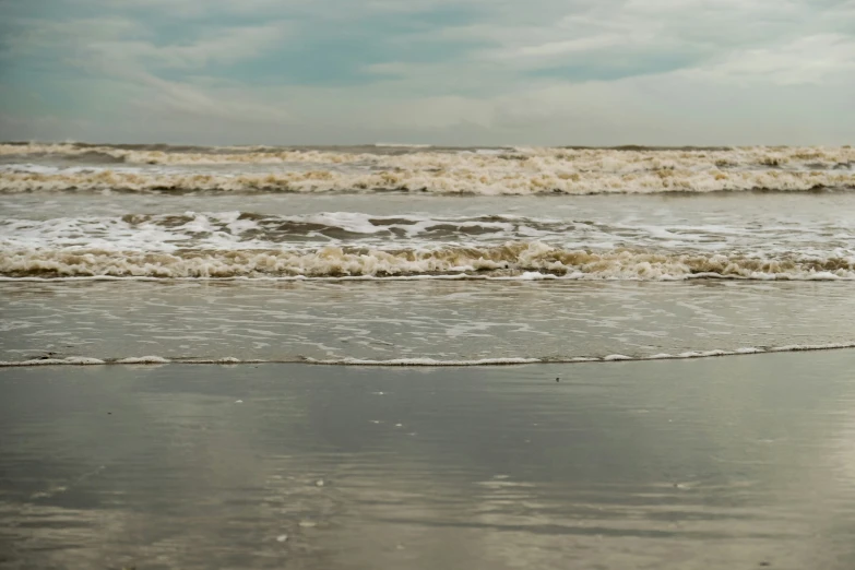 a bird stands on the edge of a beach