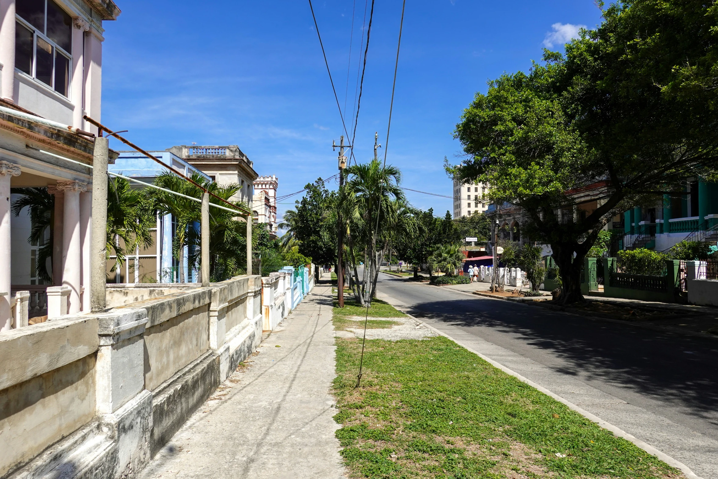 a street with houses along it that have grass and shrubs on the side