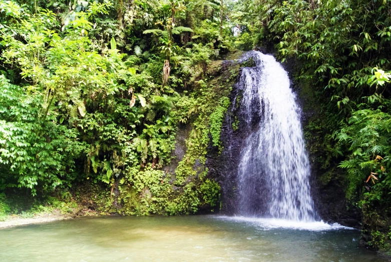 a waterfall surrounded by trees is visible from below