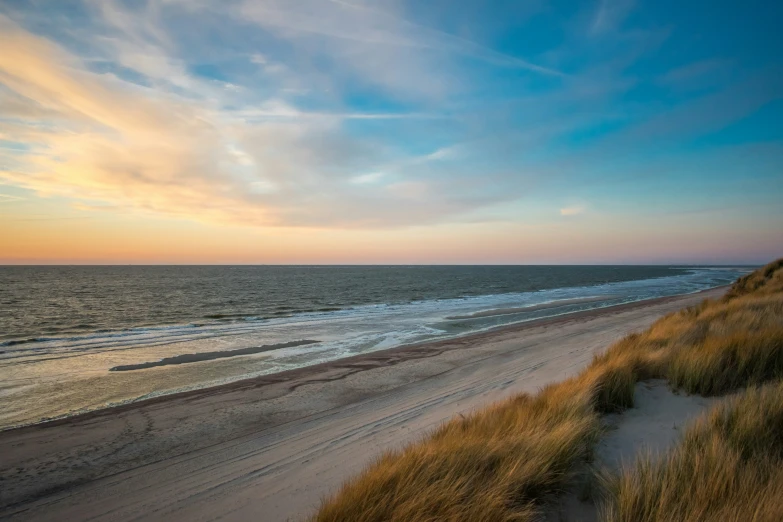 an empty beach at the ocean and grass