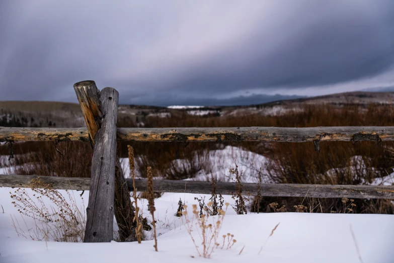 a wooden fence next to some plants and snow