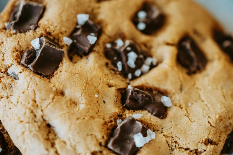 a big cookie with chocolate chips and white marshmallows