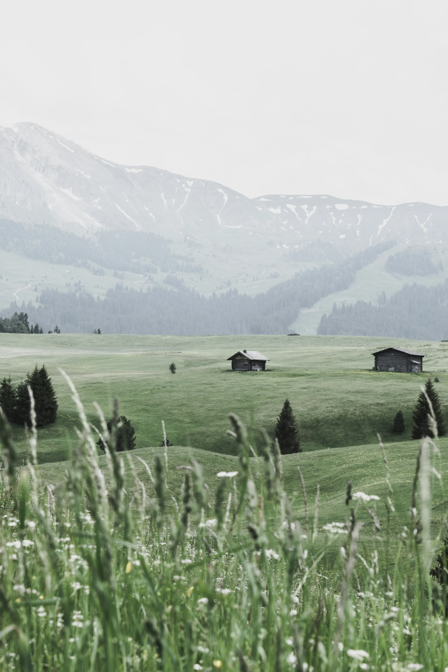 a large green field with many cabins in it