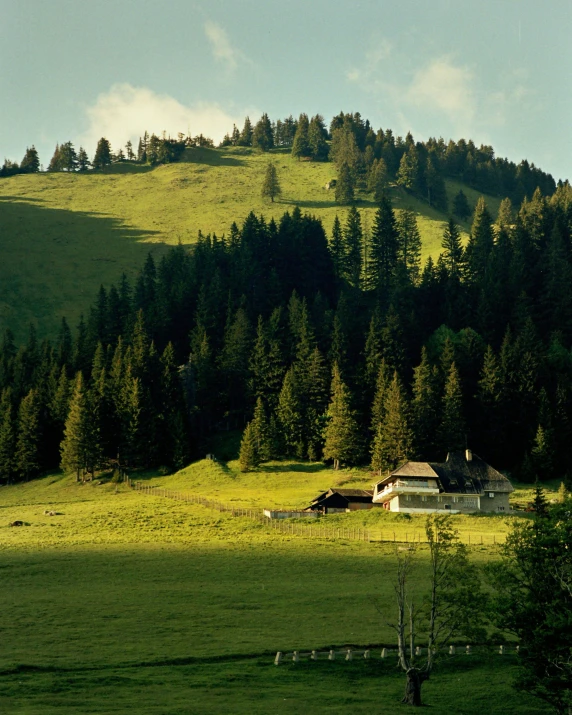 a view of a large grassy field near some trees