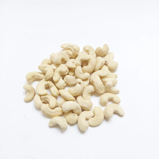 several pieces of white cashew on a white surface