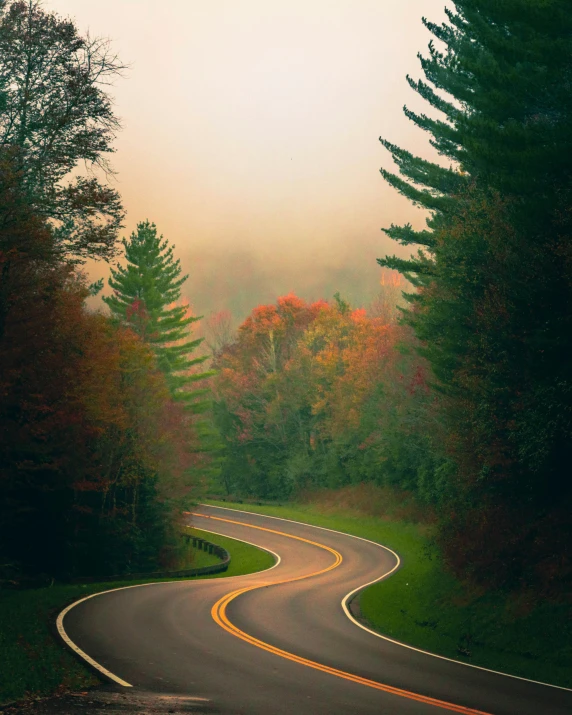 an autumn scene with fall foliage along the road