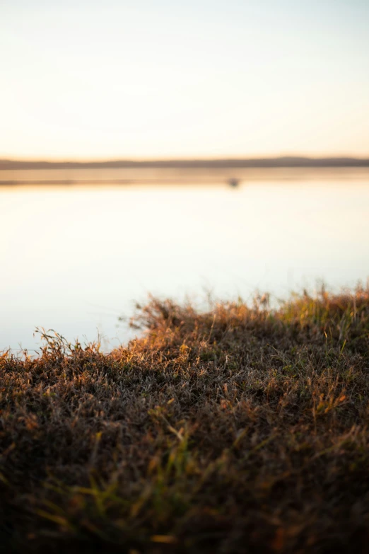 a bird is sitting on the edge of some water