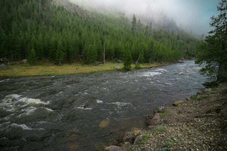 a stream is running through some trees in the background