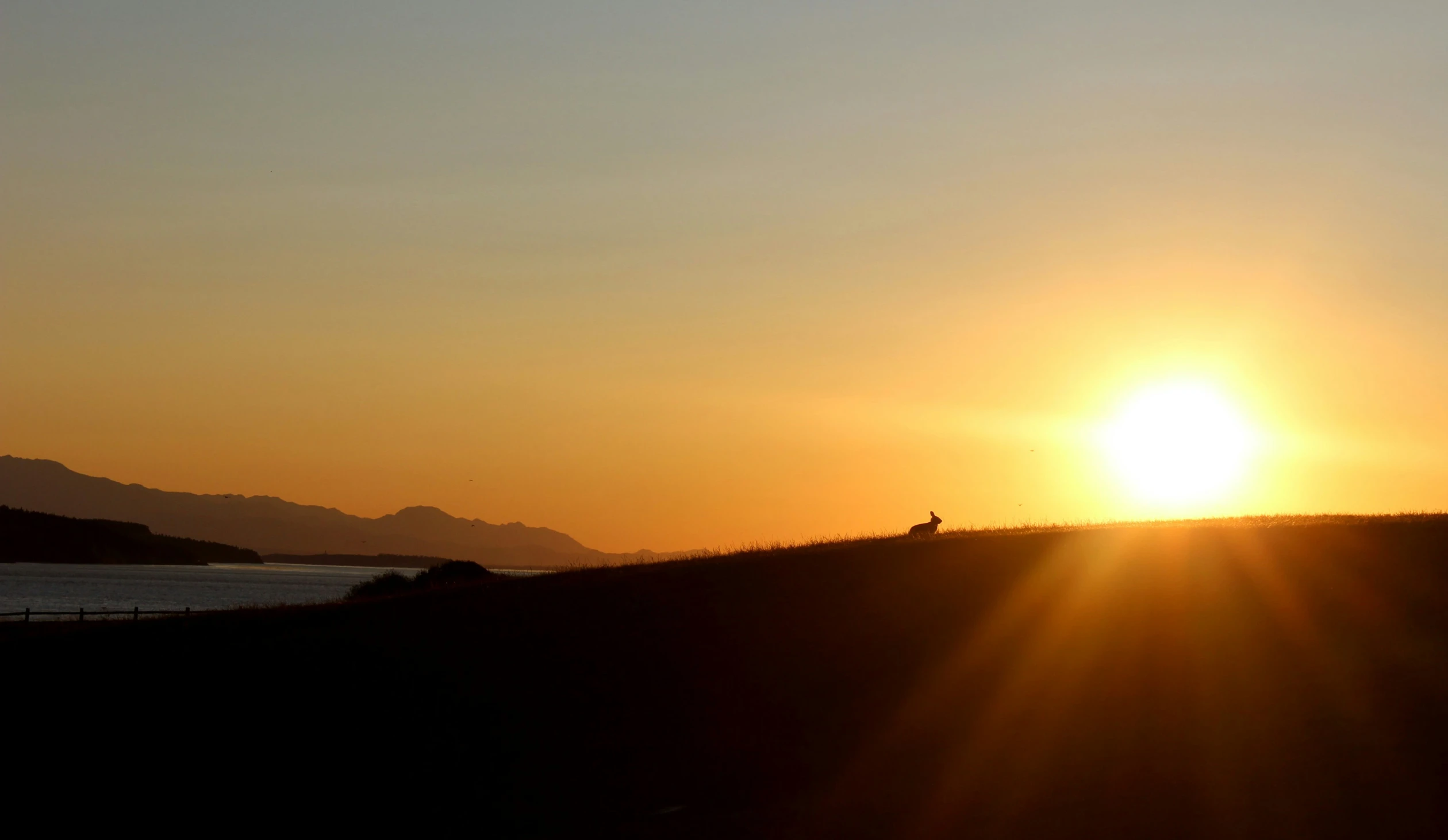 the sunset is reflected in the distance of a couple standing at the top of a hill