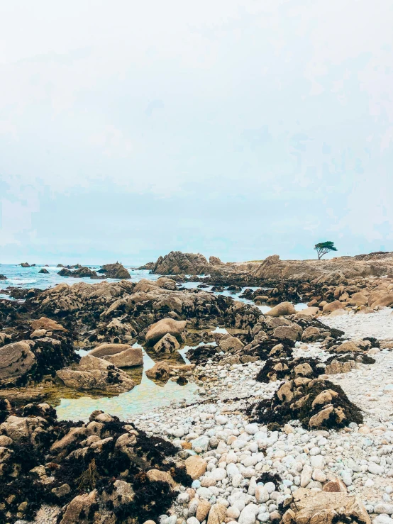 some very pretty rocks on a beach near the water