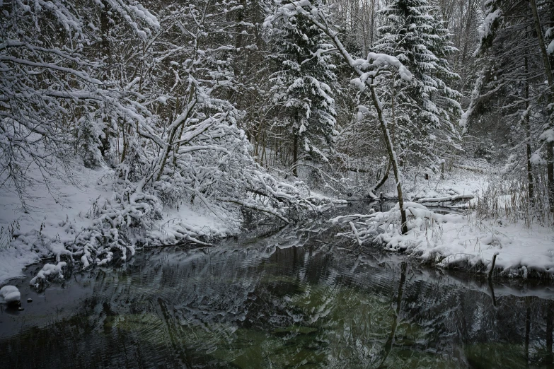 a stream running through a snowy forest filled with snow