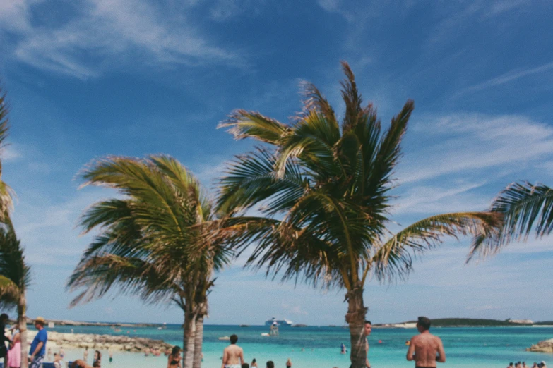 people are on the beach under palm trees