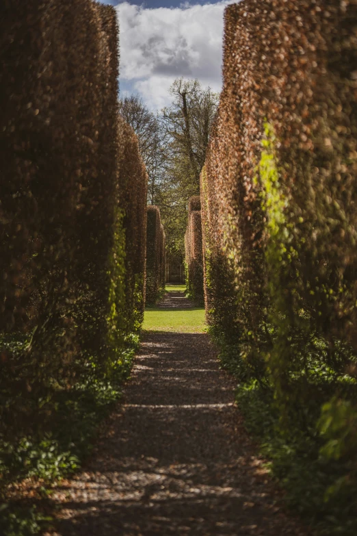 an old path leading to another one