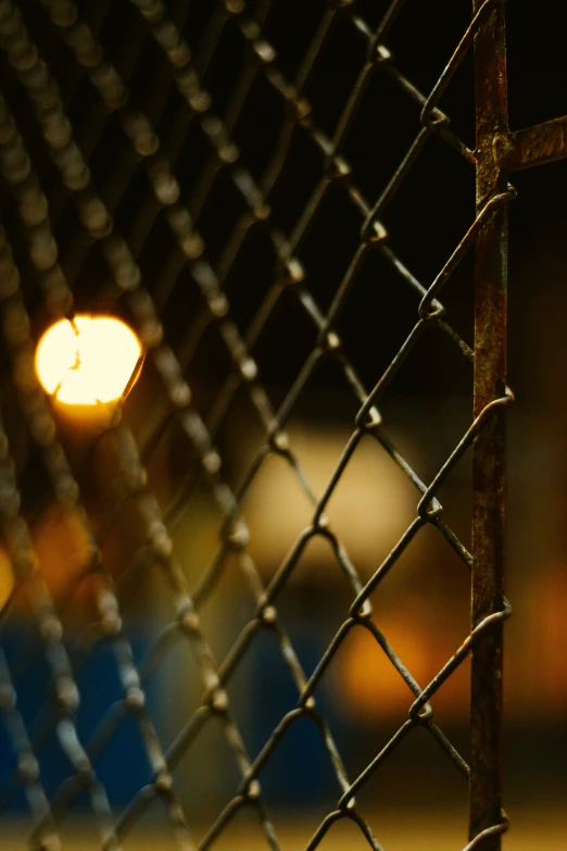 an animal in its pen is looking through the fence