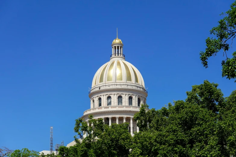 the dome of a large building with trees in front