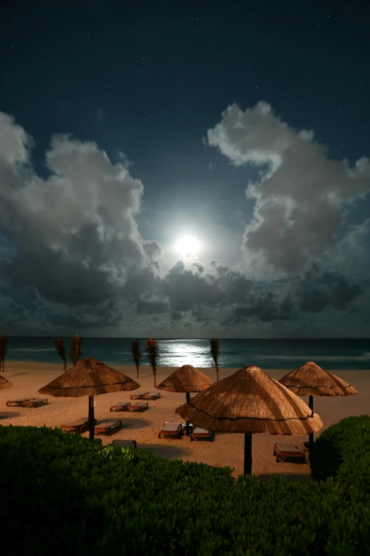 beach covered with grass with night time sky and moon above