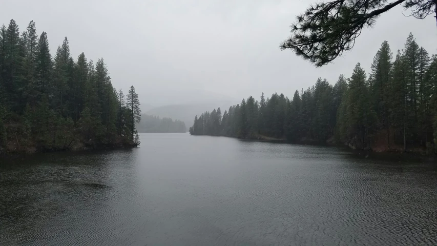 a view of a body of water with trees on the shore