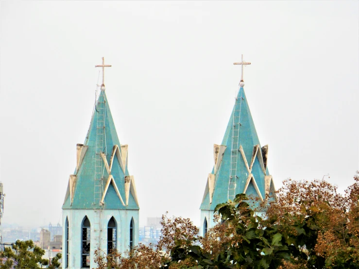 the view of two steeples from a tree line