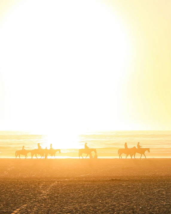 horses and riders travel along a beach as the sun rises