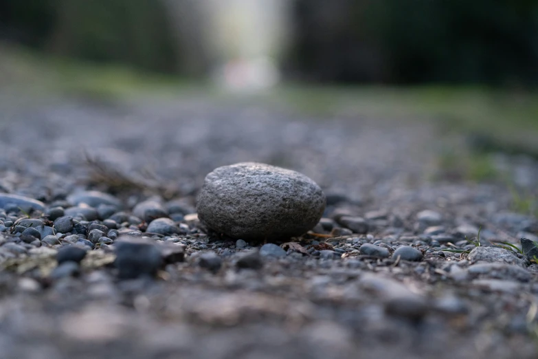 a rock sitting on top of gravel covered ground