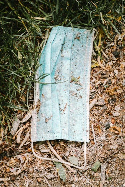 a napkin with a blue background and a green plant on top