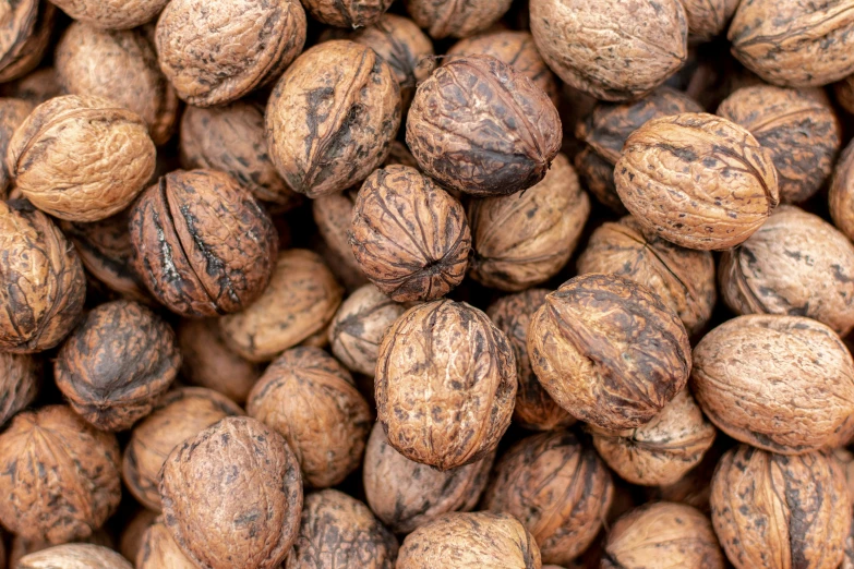 lots of nuts are seen closeup in this image