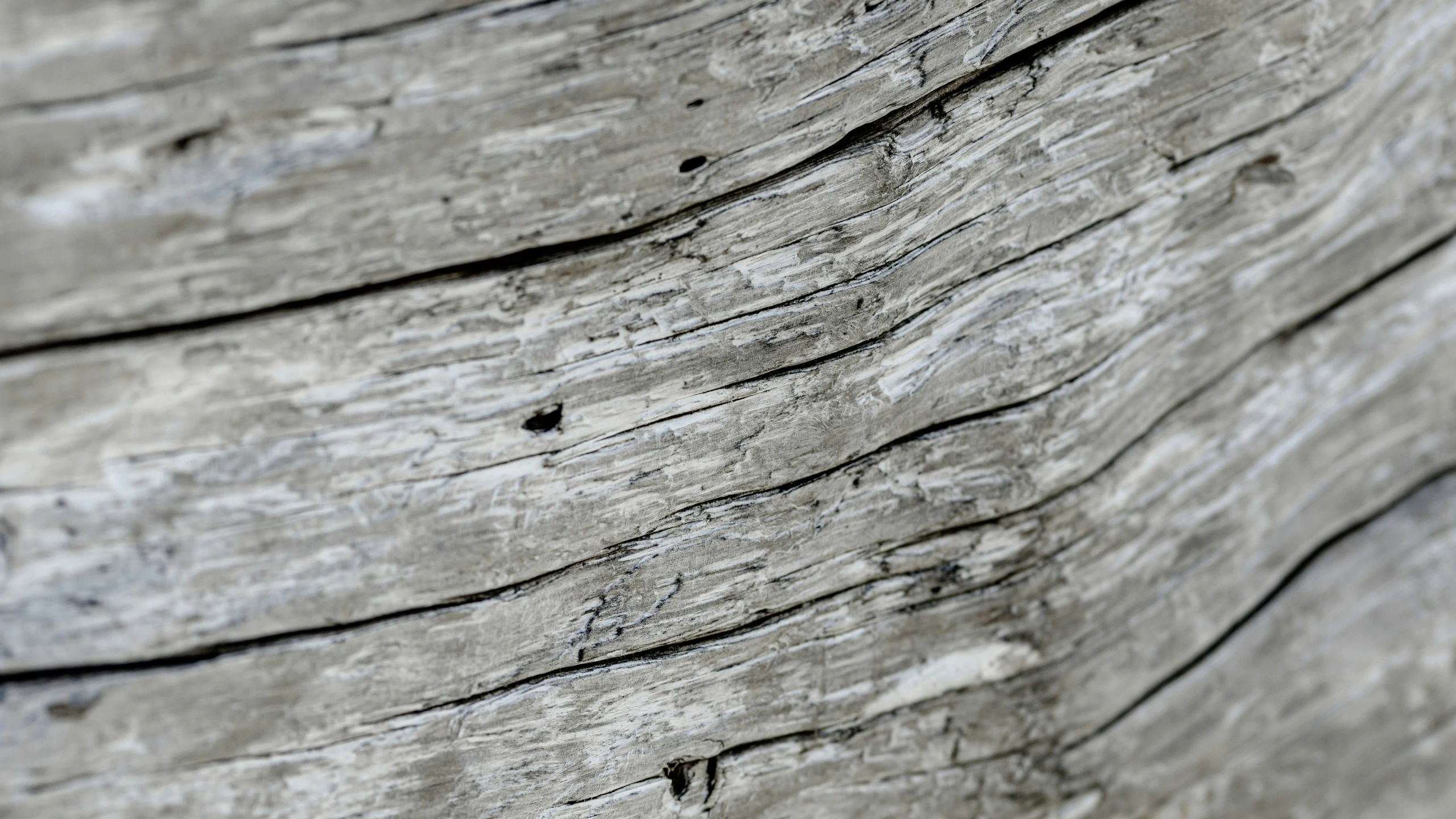 close up s of an old weathered wood surface