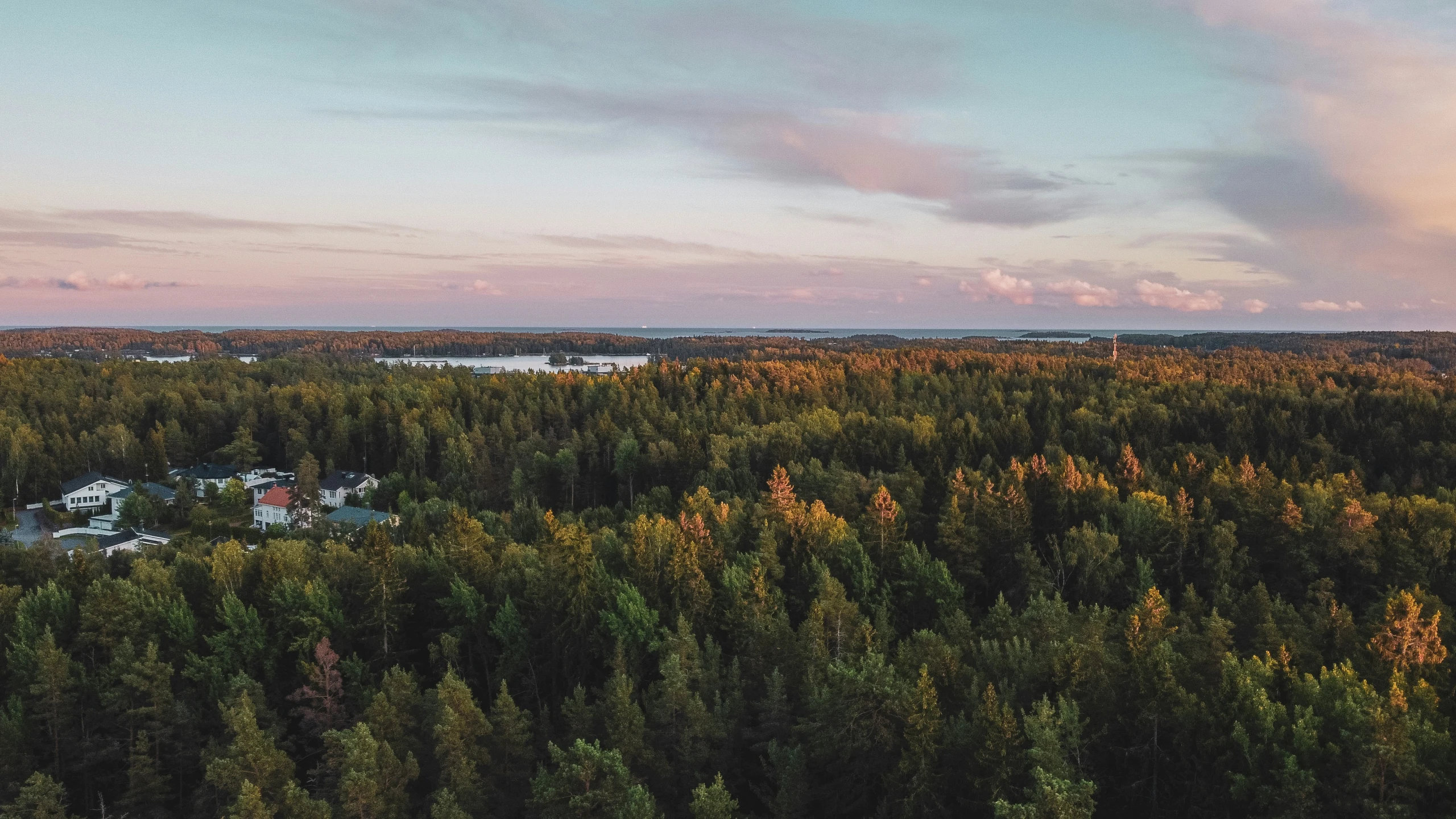 a picture from above of a forest with houses and water