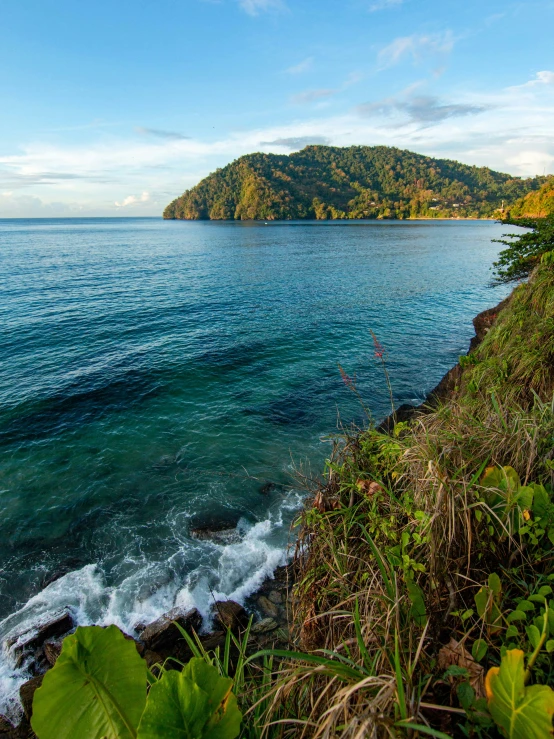 the ocean is calm and green, with many trees growing in the grass